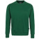Farbe: tanne
